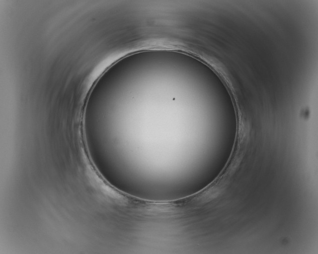 X0000111821486200907231306