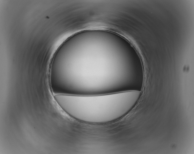 X0000111821488200907231306
