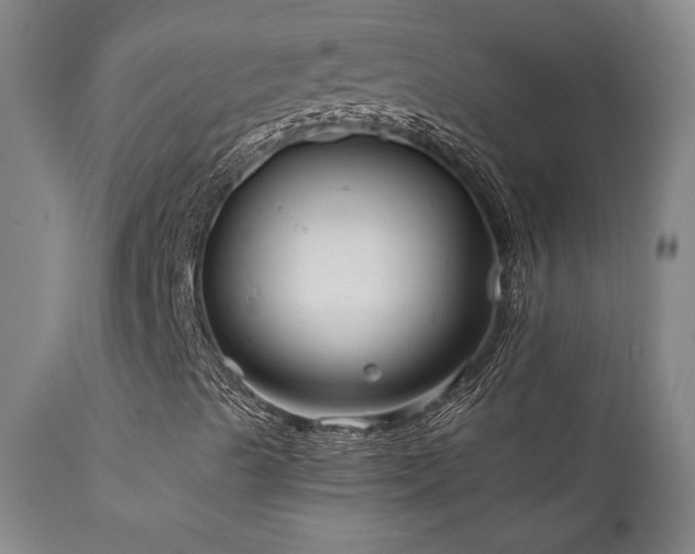 X0000111821489200907231305