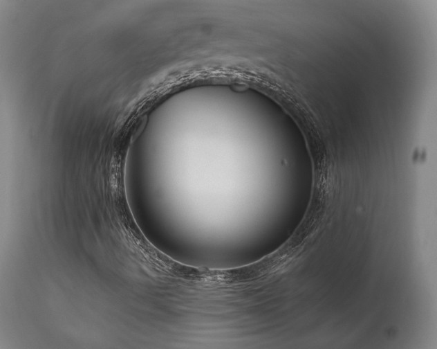 X0000111821490200907231305