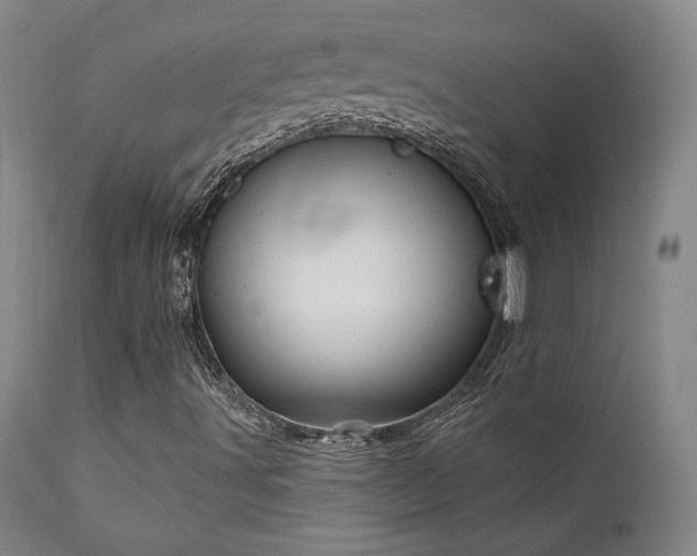 X0000111821491200907231305