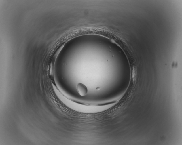 X0000111821492200907231305