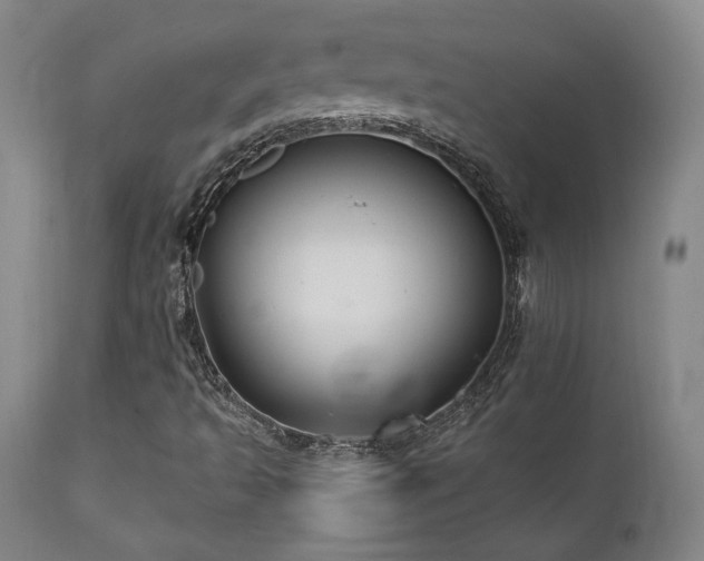 X0000111821493200907231305