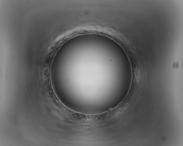 X0000111821494200907231305