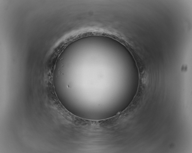 X0000111821495200907231305