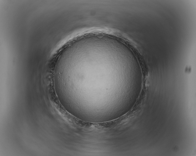 X0000111821496200907231305