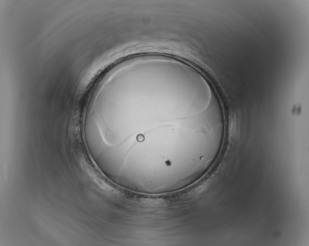 X0000111821498200907231305
