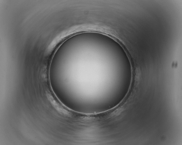 X0000111821499200907231305