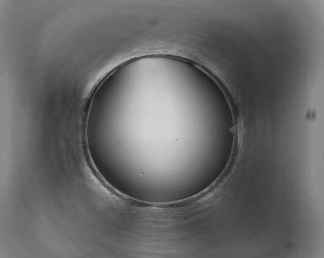 X0000111821500200907231305