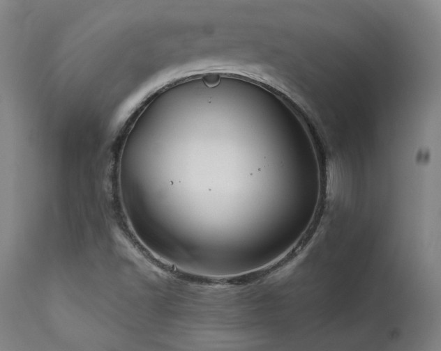 X0000111821502200907231305