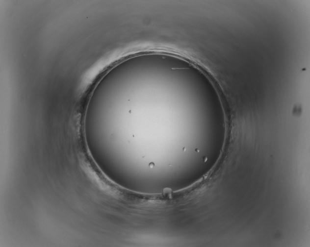 X0000111821503200907231305