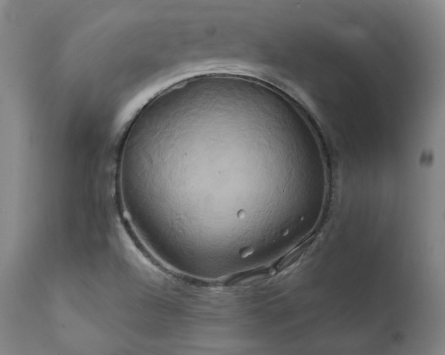 X0000111821504200907231305
