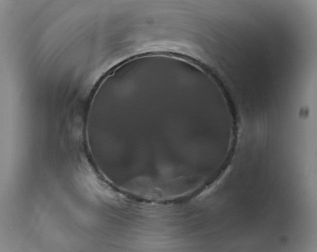 X0000111821505200907231305