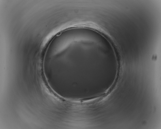X0000111821506200907231305