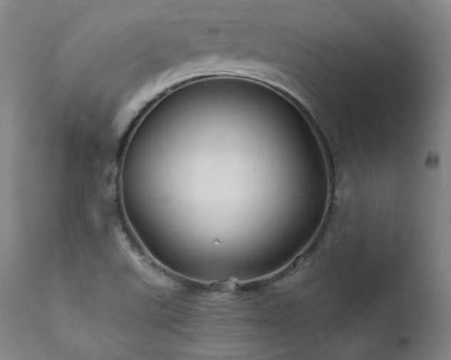 X0000111821507200907231306