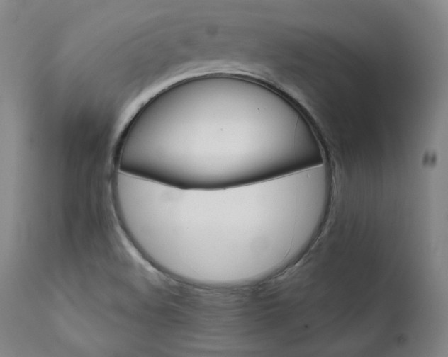 X0000111821508200907231306