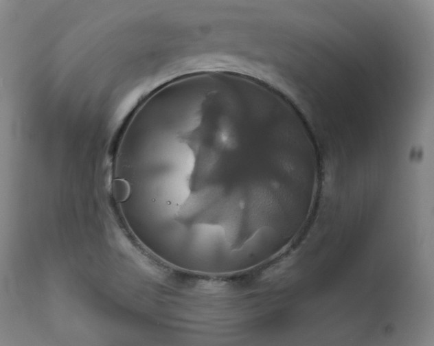 X0000111821509200907231306