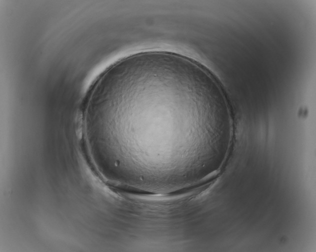 X0000111821510200907231306
