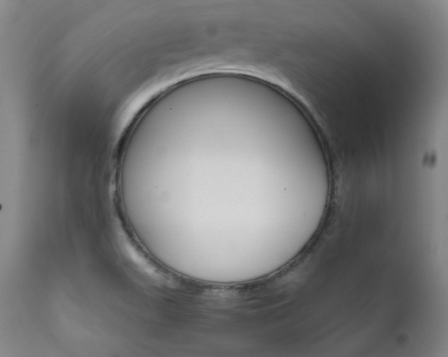 X0000111821511200907231306