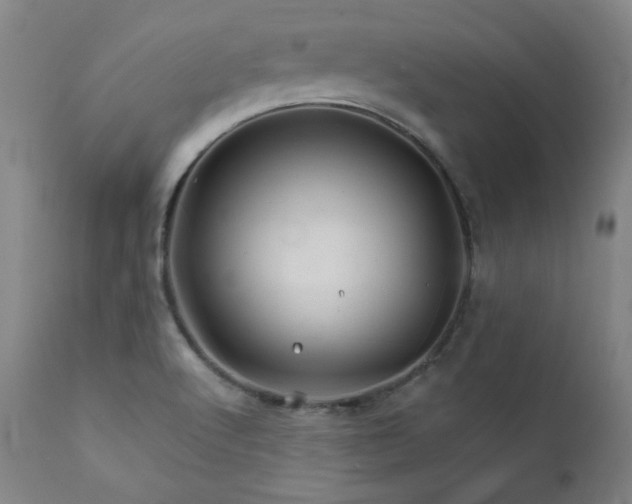 X0000111821512200907231306