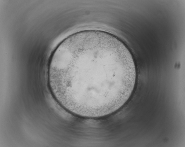X0000111821514200907231306