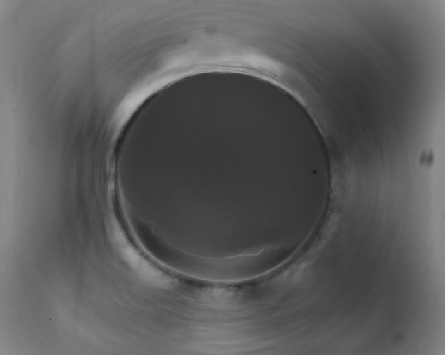 X0000111821515200907231306