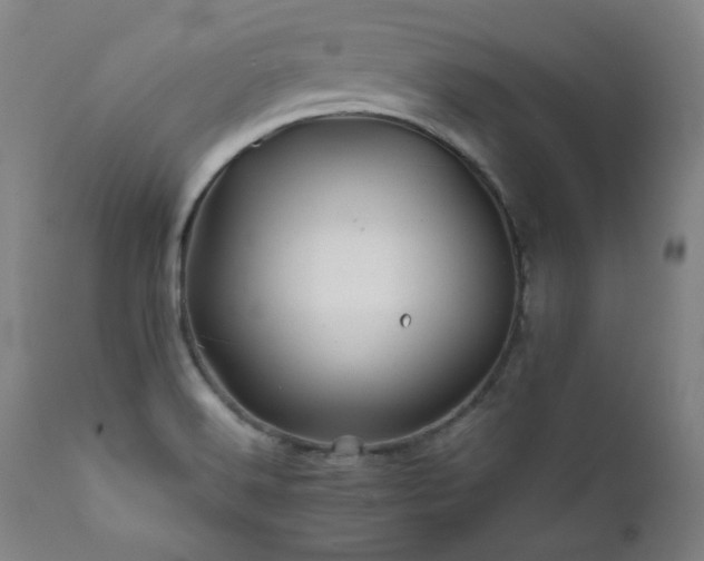 X0000111821516200907231306