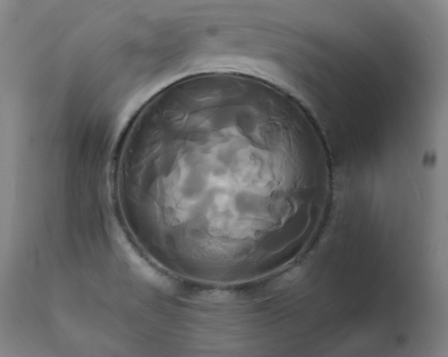 X0000111821517200907231306