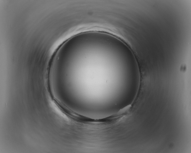 X0000111821518200907231306