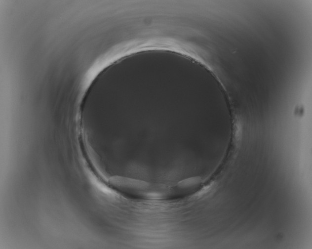 X0000111821519200907231306