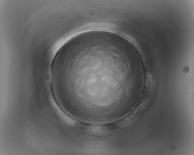 X0000111821520200907231306