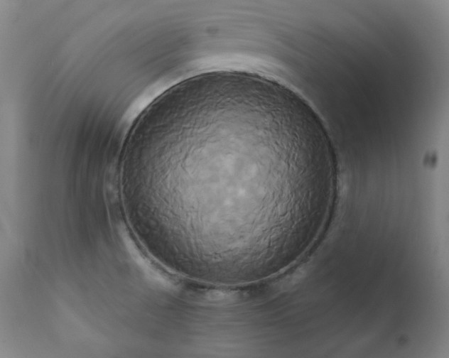 X0000111821521200907231306