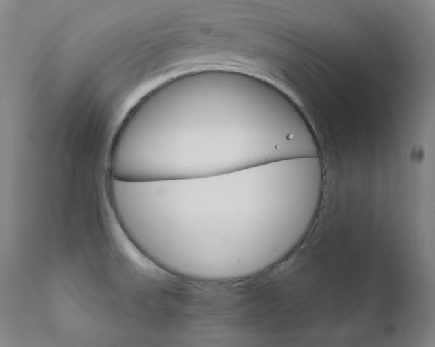 X0000111821523200907231306