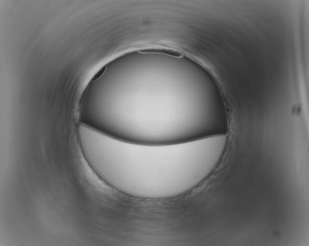 X0000111821524200907231306