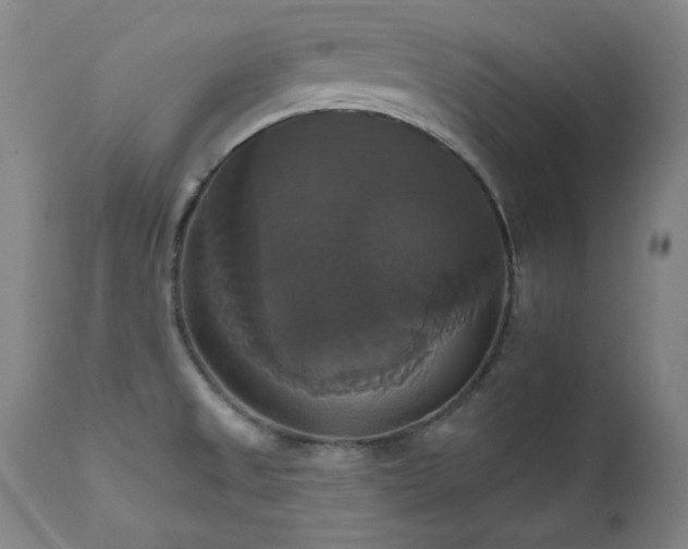 X0000111821525200907231306