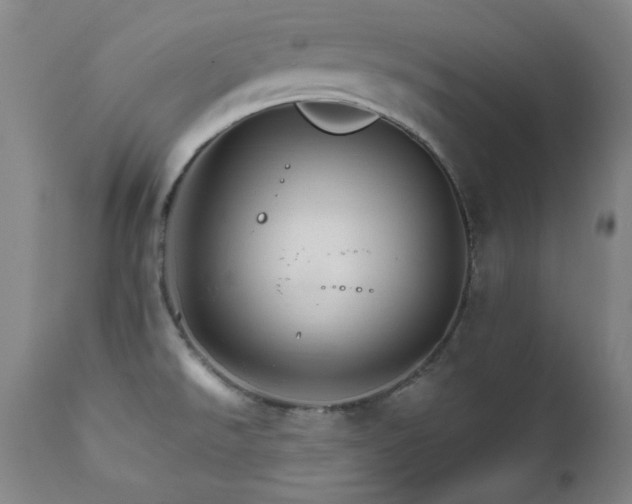 X0000111821526200907231306