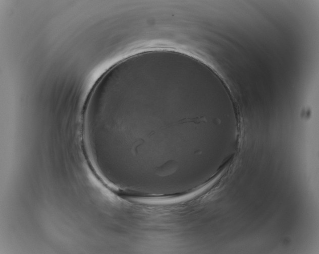 X0000111821527200907231306