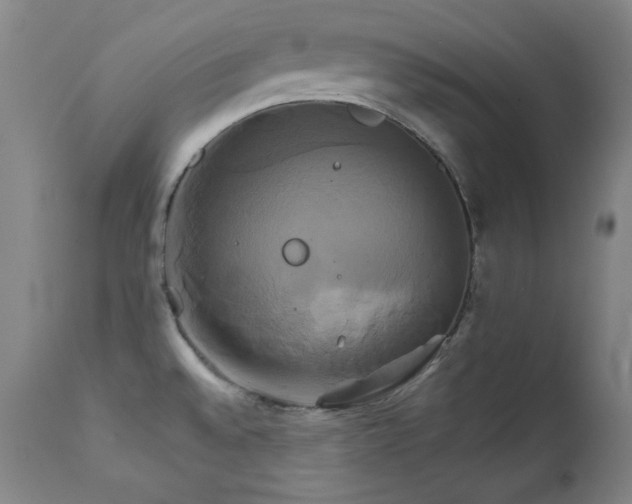 X0000111821528200907231306