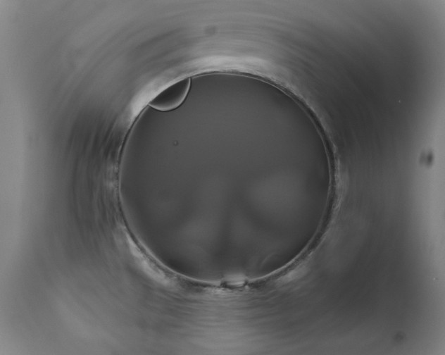 X0000111821529200907231306