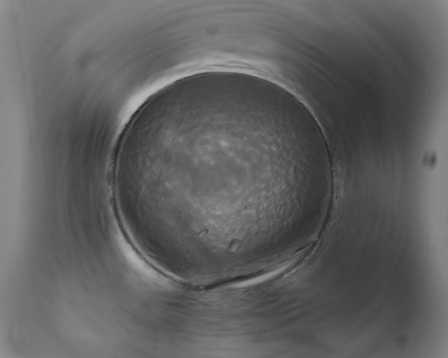 X0000111821531200907231306