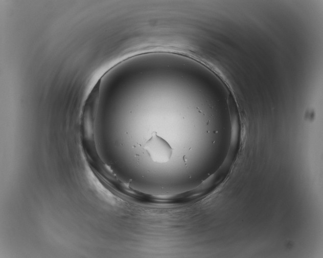 X0000111821532200907231306