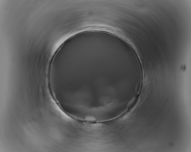 X0000111821533200907231306
