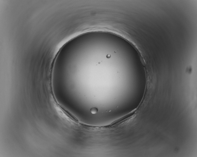 X0000111821534200907231306