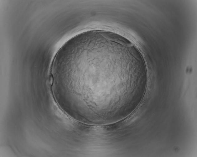 X0000111821536200907231306