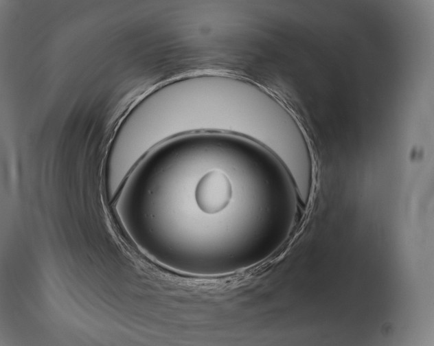 X0000111820001200907301307