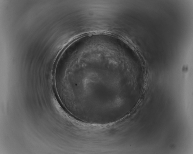 X0000111820002200907301307