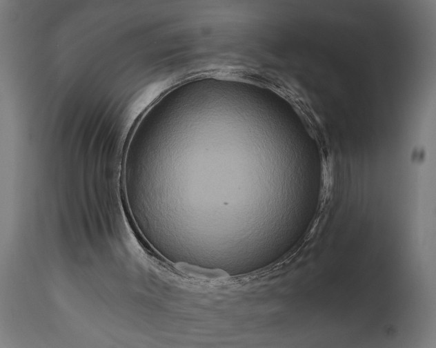 X0000111820003200907301307