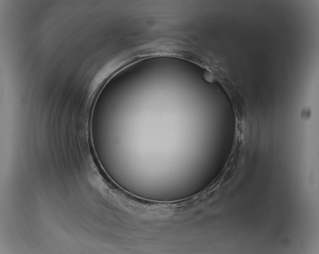 X0000111820004200907301307