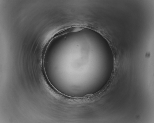 X0000111820005200907301307