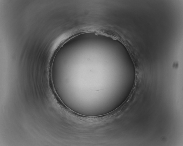 X0000111820006200907301307
